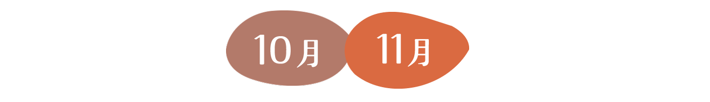 10月11月