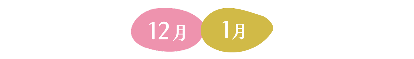 12月1月