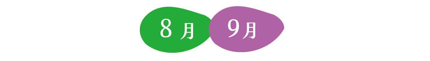 8月9月